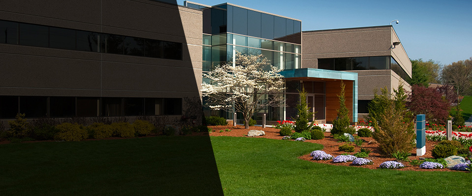 Pinckney Landscapers