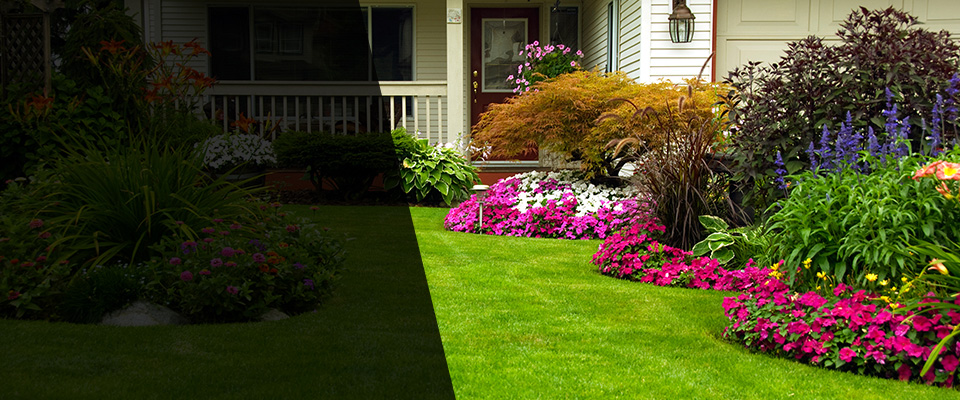 Pinckney Landscapers