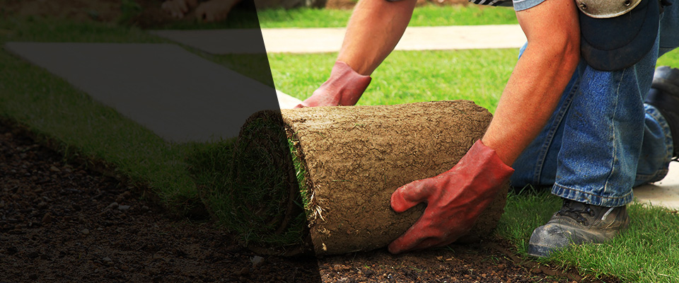 Pinckney Landscapers